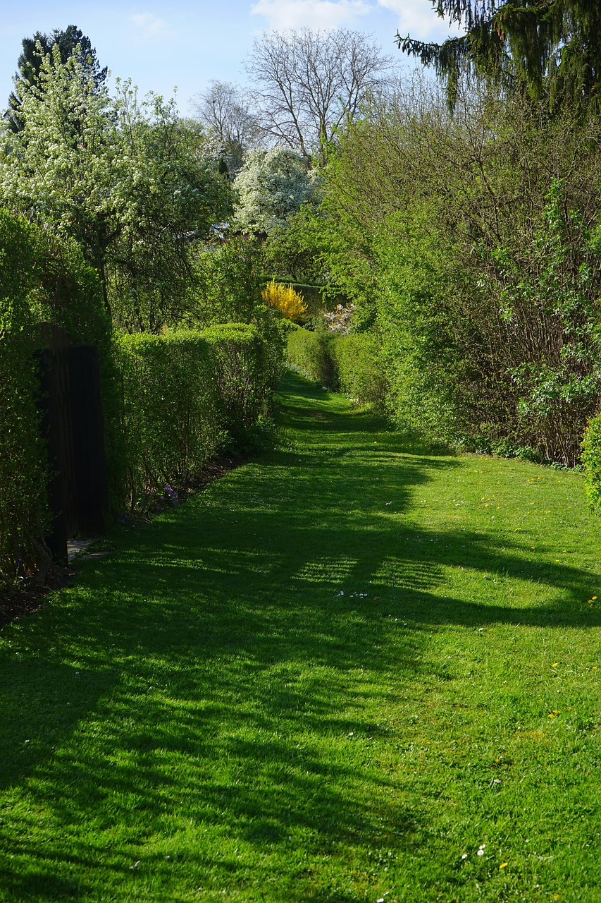 meadow, path, hedge, bushes, spring, spring day, summery, green, lawn, grass, grass path, allotment area, allotment garden, allotment, arbor, home garden, nature, family garden, bünt, pünt, join, plot, severed, separated, fenced in, garden, investment, land, allotment gardening association, allotment club, garden division, garden colony, arbor colony